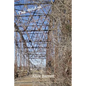 The Bridge - Paperback