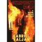 Symphony Road: A Shane Cleary Mystery - Paperback