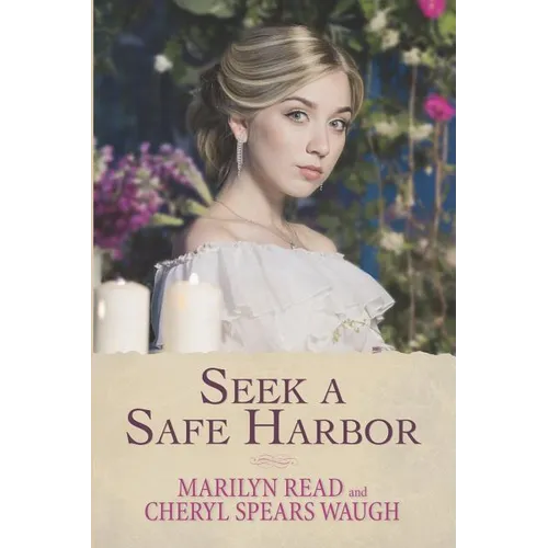 Seek a Safe Harbor - Paperback