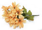 12.5" Daisy Bush x 6