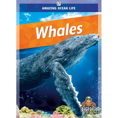 Whales - Library Binding