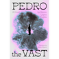 Pedro the Vast - Paperback