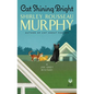 Cat Shining Bright - Hardcover