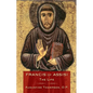 Francis of Assisi: The Life - Paperback