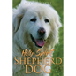 Holy Spirit Shepherd Dog - Paperback