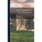 English Irish Dictionary - Hardcover