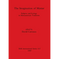 The Imagination of Matter - Paperback
