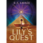 Lily's Quest - Beyond the Thin Veil of Paralell Dimensions - Hardcover