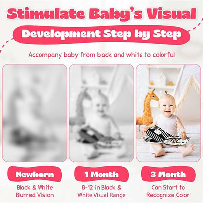 Lalala Baby Black White Sensory Toy with Mirror High Contrast Board Book