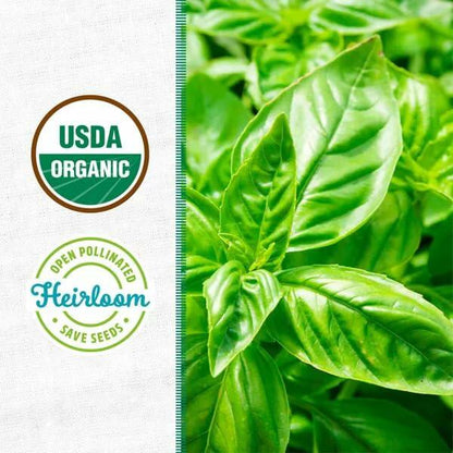 Wellness Grow Kit Basil Indoor Herb Garden Hydroponic System 0.76lb