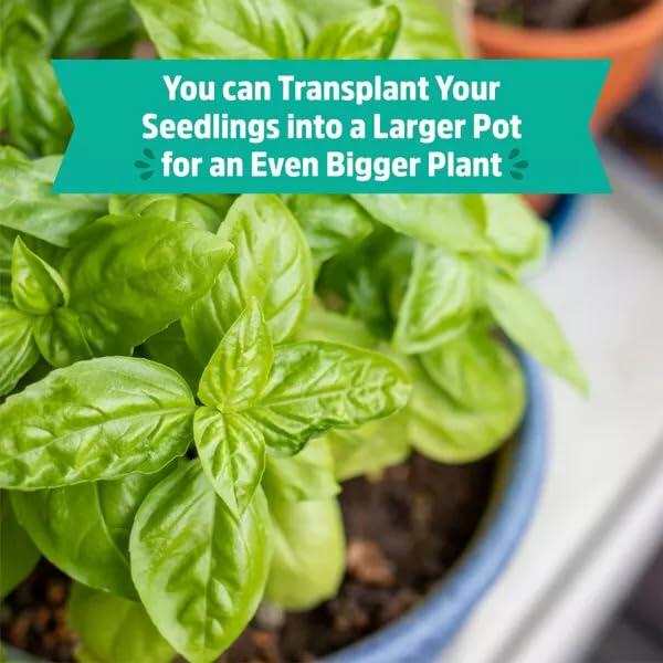 Wellness Grow Kit Basil Indoor Herb Garden Hydroponic System 0.76lb