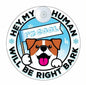 Generic I'M COOL Car Sign Pet Safety Alert Vinyl White/Blue Auto Accessory