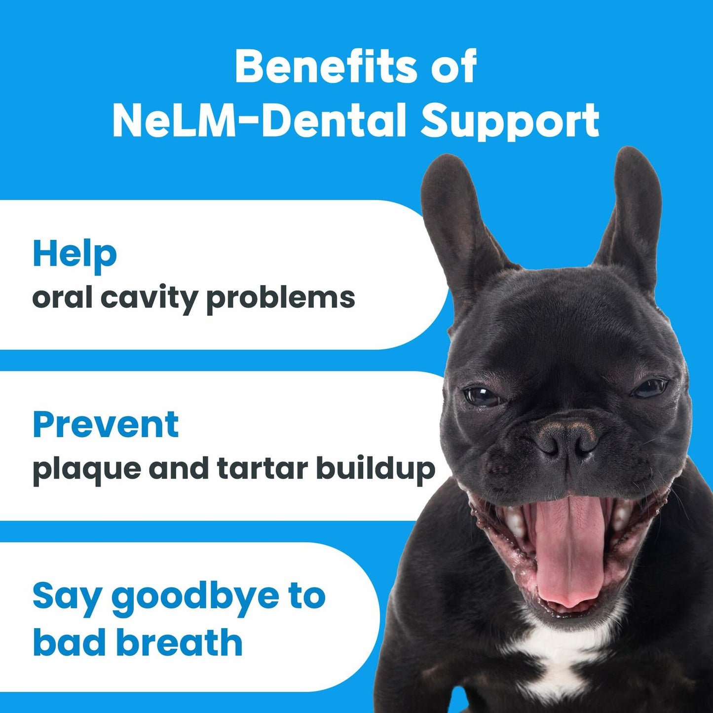 BestBy01/26 NeLM Dog Vitamins Multivitamin Eye Hip Joint Gut Dental 30 Strips