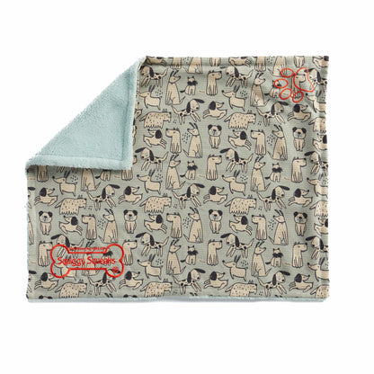 Squiggy Squeaks Dog & Cat Sleep Play Blanket Squeaky Toy 22x27in Blue/Green