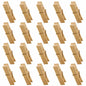 Mini Wooden Clothespins 20PCS Bamboo Clothes Pins Spring Clips Windproof