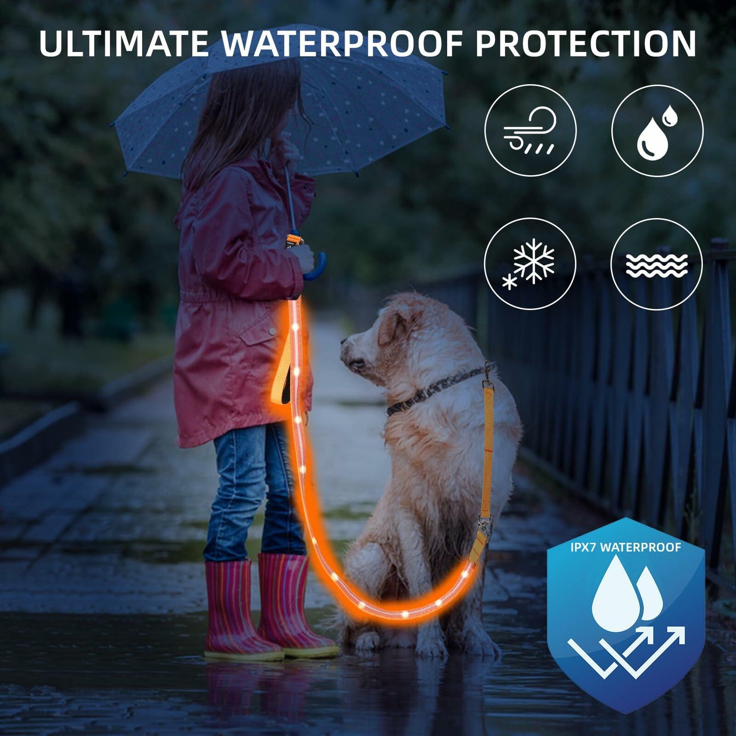 PetIsay Light-Up Dog Leash 6FT USB-C Rechargeable Waterproof White