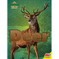 Deer - Library Binding