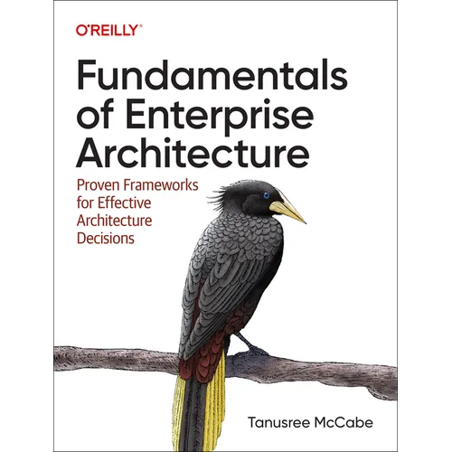 Fundamentals of Enterprise Architecture: Proven Frameworks for Effective Architecture Decisions - Paperback