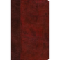 ESV Large Print Thinline Bible (Trutone, Burgundy/Red, Timeless Design) - Imitation Leather