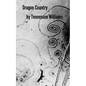Dragon County - Paperback
