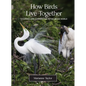 How Birds Live Together: Colonies and Communities in the Avian World - Hardcover