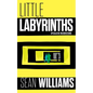 Little Labyrinths: Speculative Microfictions - Paperback