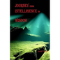 Journey from Intelligence to Wisdom: philosophy - Paperback