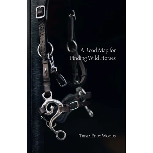 A Road Map for Finding Wild Horses - Paperback