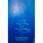 The Abyss of Autism - Paperback