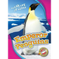 Emperor Penguins - Library Binding