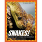 Snakes! And Their Secrets: A Book for Curious Kids - Paperback