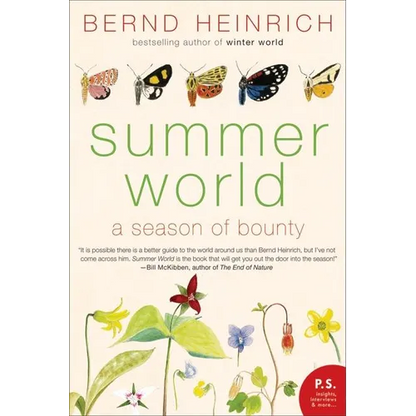Summer World - Paperback