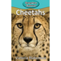 Cheetahs - Hardcover
