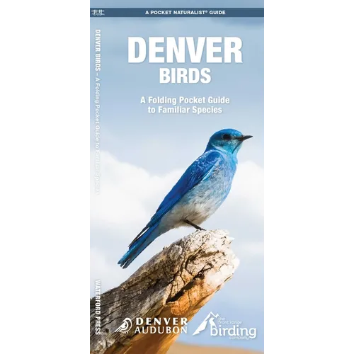 Denver Birds: A Folding Pocket Guide to Familiar Species
