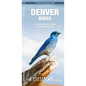 Denver Birds: A Folding Pocket Guide to Familiar Species
