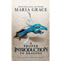 A Proper Introduction to Dragons - Paperback