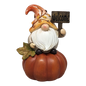 Fall Gnome Pumpkin -