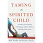 Taming the Spirited Child - Paperback