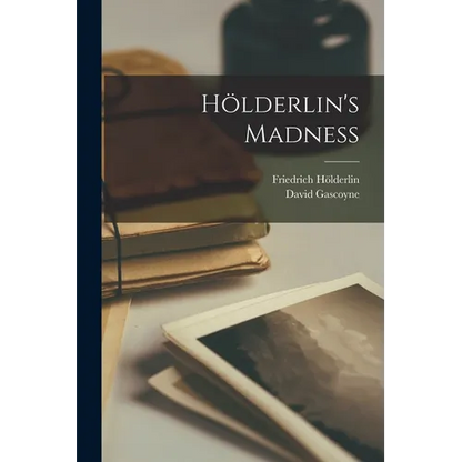 Hölderlin's Madness - Paperback