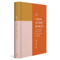 ESV Teen Study Bible (Hardcover, Desert Sun) - Hardcover