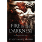 Fire in the Darkness - Paperback