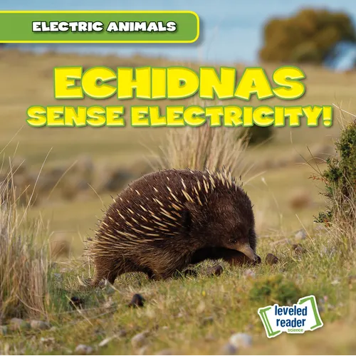 Echidnas Sense Electricity! - Library Binding