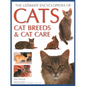 Ultimate Encyclopedia of Cats, Cat Breeds and Cat Care - Paperback