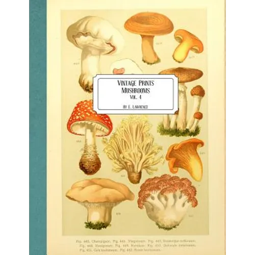 Vintage Prints: Mushrooms: Vol. 4 - Paperback