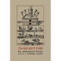 The Secret Fire: An Alchemical Study - Paperback