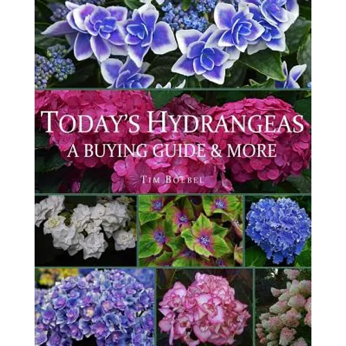 Today's Hydrangeas: A Buying Guide & More - Paperback