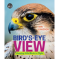 Bird's-Eye View: Keeping Wild Birds in Flight - Hardcover