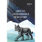 Climate Cats: A Kitten Adventure In The Bay of Fundy - Paperback