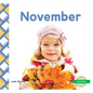 November - Library Binding