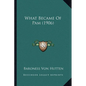 What Became Of Pam (1906) - Paperback